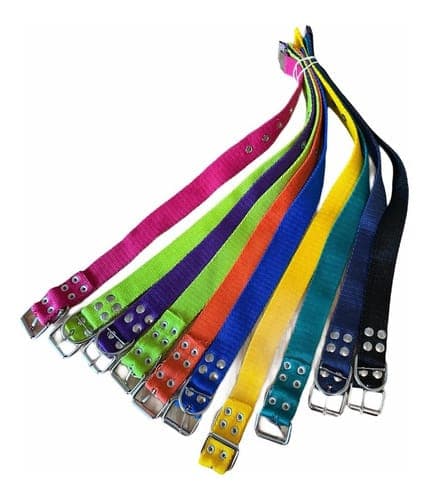 COLLARES PARA PERROS