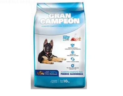 Gran Campeón Cachorro