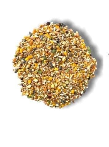 MEZCLA GALLO CON AVENA PELADA
