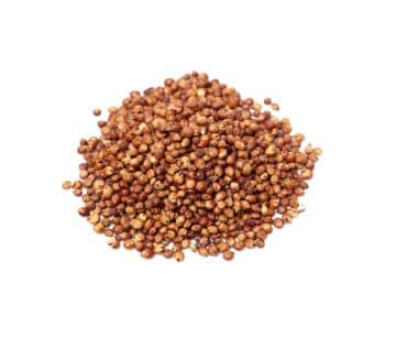 SORGO